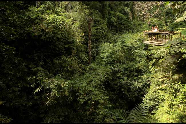 Obyek wisata hutan bambu Semara Ratih di Desa Taro, Gianyar, Bali. (GATRA/Jongki Handianto)