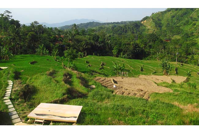 Pemandangan lahan persawahan berundak di kawasan obyek wisata Curug Leuwi Hejo Sentul,  Bogor, Jawa Barat. (GATRA/Jongki Handianto)