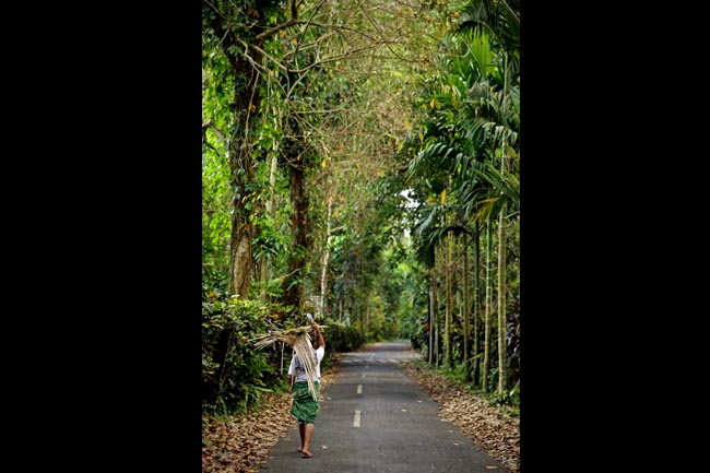 Salah satu jalan utama di Desa Taro, Gianyar, Bali. (GATRA/Jongki Handianto)