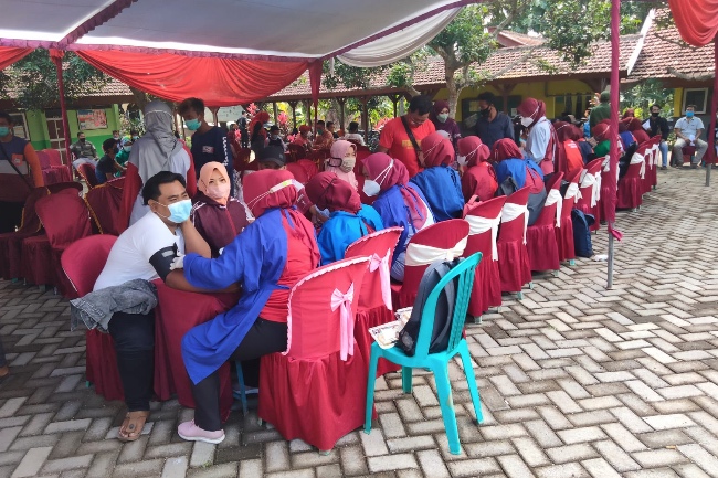 Vaksinasi Merdeka yang diselenggarakan Polres Banyuwangi, bagi masyarakat adat Osing Jumat (8/10). (GATRA/Dok. AMAN)